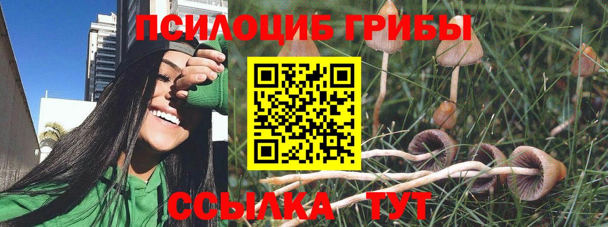 Псилоцибиновые грибы Cubensis  дарнет шоп  Вход с VPN  Ейск  Галлюциногенные грибы Psilocybe 