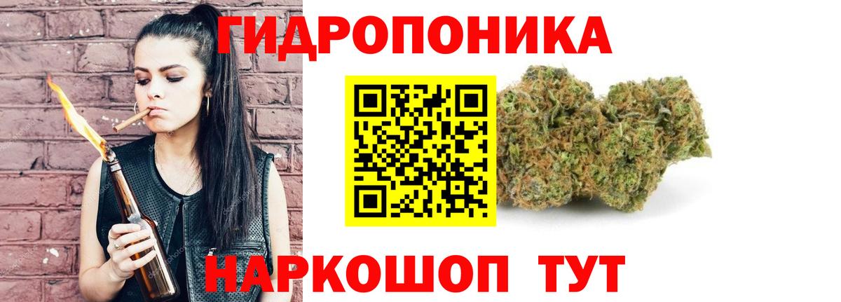 Каннабис сатива Ейск